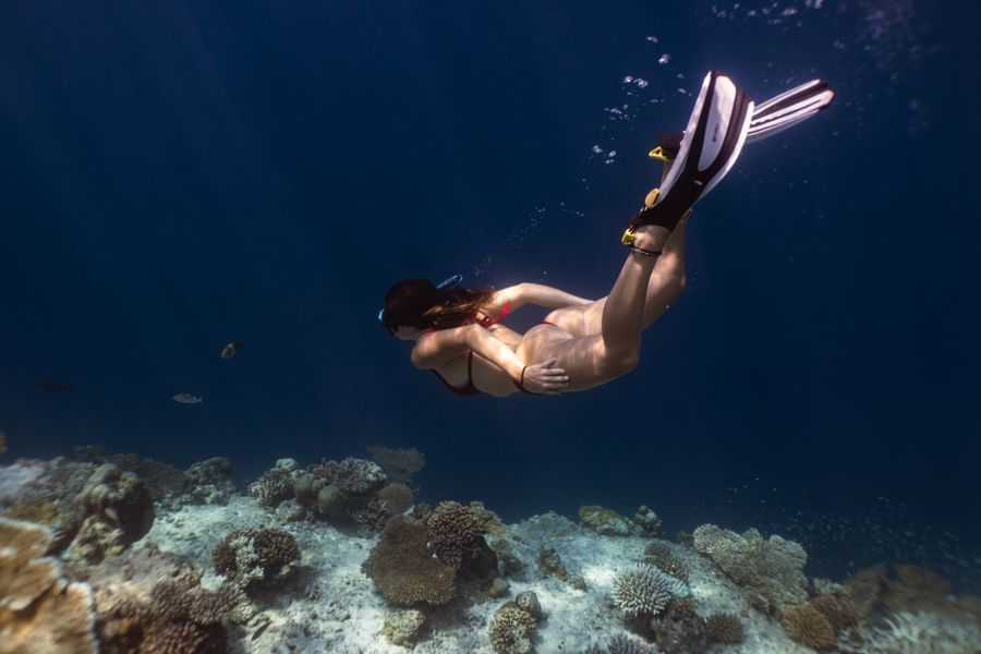 Reef snorkeling